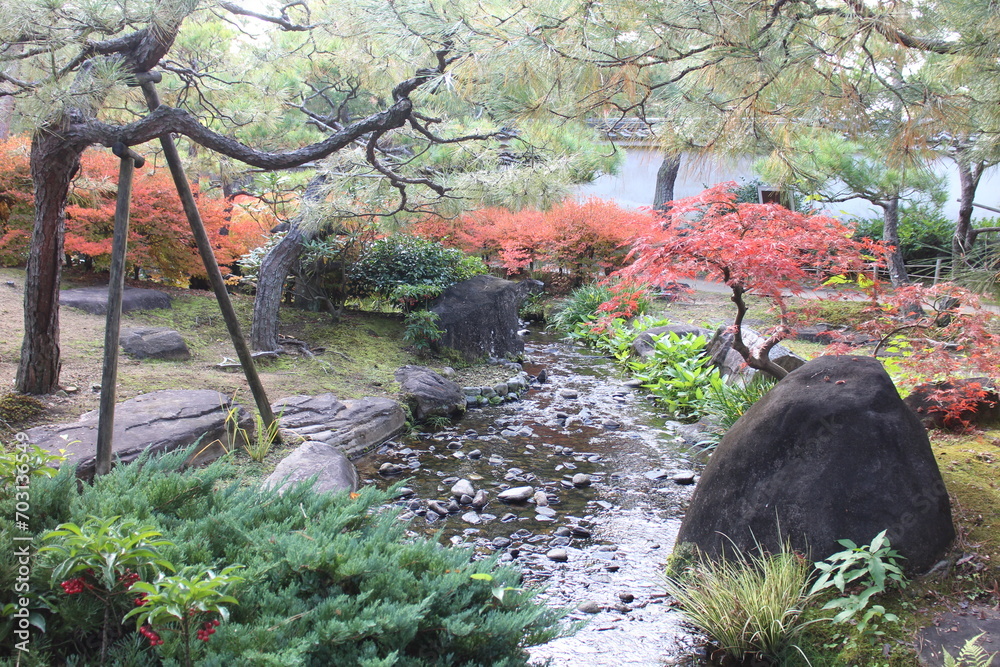 Autumn leaves in the Garden of Pine Trees in Koko-en Garden, Himeji, Japan Autumn leaves in the Garden of Pine Trees in Koko-en Garden, Himeji, Japan