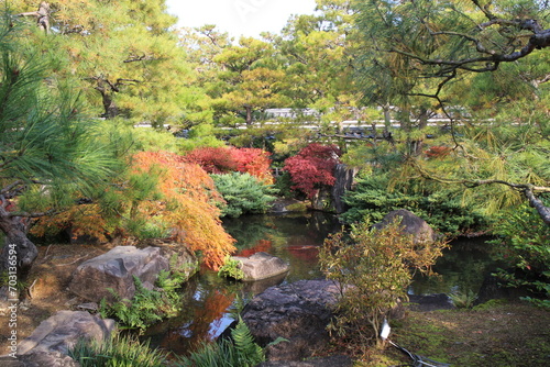 Fototapeta Naklejka Na Ścianę i Meble -  Autumn leaves and pond in the Garden of Pine Trees in Koko-en Garden, Himeji, Japan