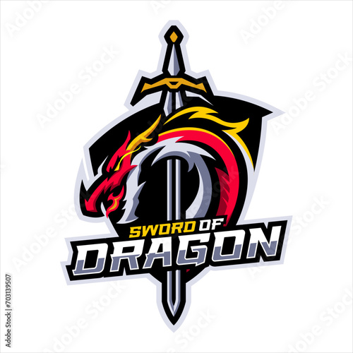 illustration of dragon and sword inside the shield