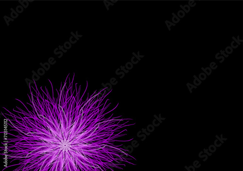  Imaginary flowers created from a graphics program Pink flowers on a black background Can be used to design media