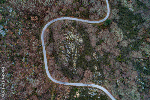 drone aerial image of a deciduous mountain forest and a winding road