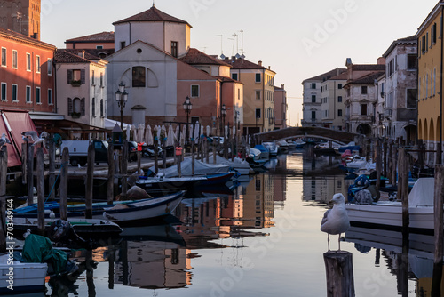 Seagull with scenic view of canal Vena after sunset in charming town of Chioggia, Venetian Lagoon, Veneto, Italy. Small boats floating in calm water. Enchanting reflections create tranquil atmosphere