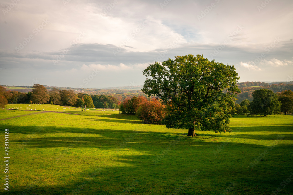 Yorkshire Sculpture Park, Sunset, Landscape view, Sculptures, Trees, Wakefield, England