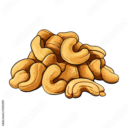 cashew nuts illustration vector