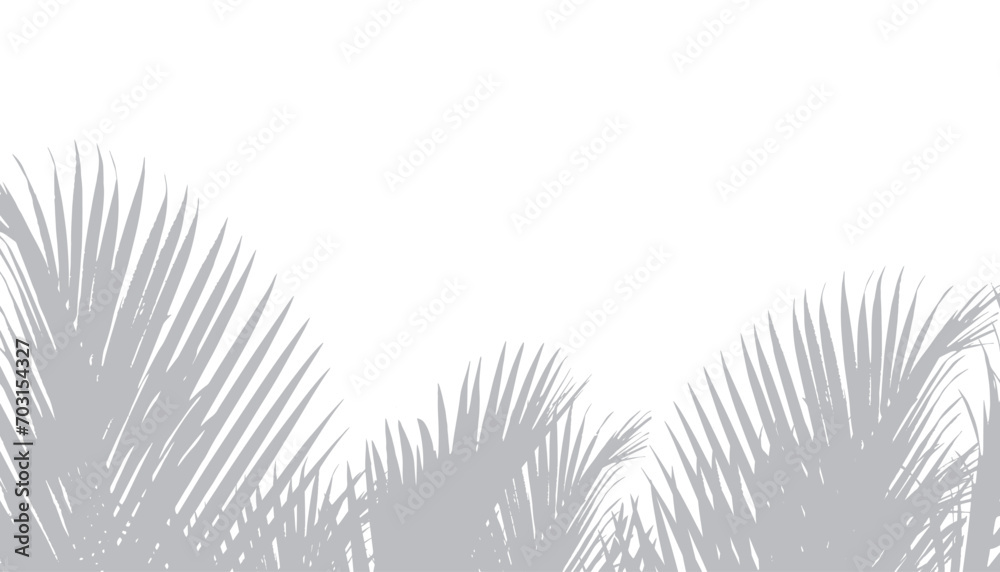 Abstract background of palm leaves or coconut leaves on top. Natural pattern, gray shadow. Copy space or empty. For advertisements, business cards, brochures and white backgrounds. - obrazy, fototapety, plakaty 