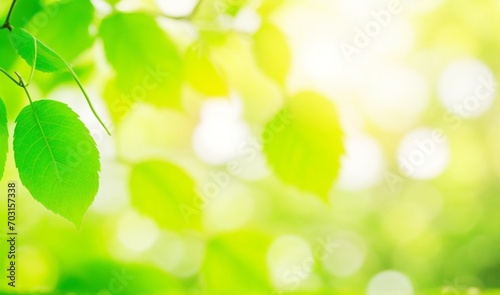 Nature of green leaf with bokeh background in summer, Natural green leaves plants with sunlight in springtime, copy space, environment ecology from AI Generative