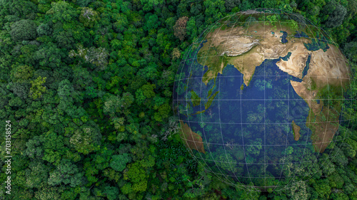 Aerial top view of green forest tree and global globe, Tropical rain forest tree ecosystem and healthy environment, Texture and background of green tree forest, Global warming save earth.