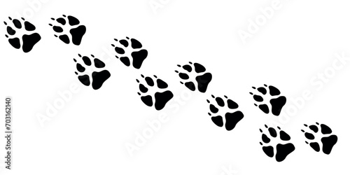 Bear paws. Animal paw prints, vector different animals footprints black on white illustration photo
