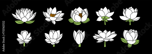 Doodle lotos rose flower with leaf clipart Hand drawn cartoon nature Vector stock illustration EPS 10