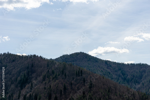 Fototapeta Naklejka Na Ścianę i Meble -  View to hill with trees and cloudy sky