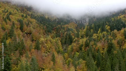 Aerial Forward Idyllic Shot Of Fir Trees On Mountains Under Cloudy Sky - French Alps, France