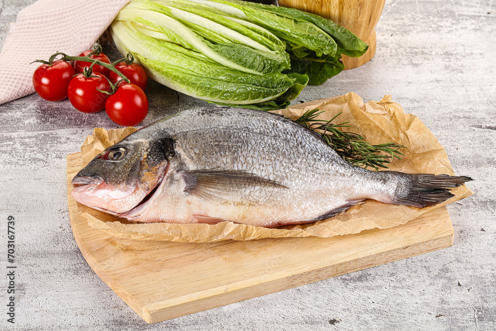 Raw dorada fish served rosemary Raw dorada fish served rosemary