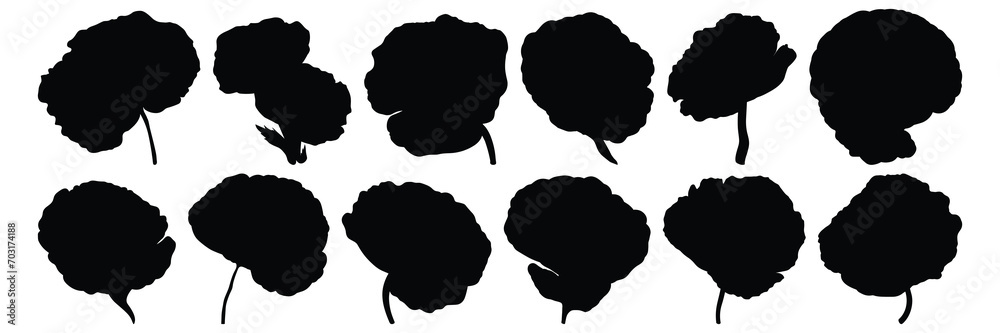 Flower silhouettes set, large pack of vector silhouette design, isolated white background
