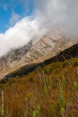 Dramatic clouds and mountains, ragged peaks in natural landscape in the Outeniqua mountains in the fynbos region of the western cape  photo