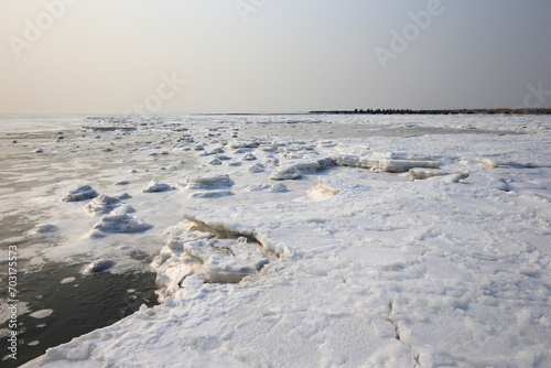 The winter sea ice