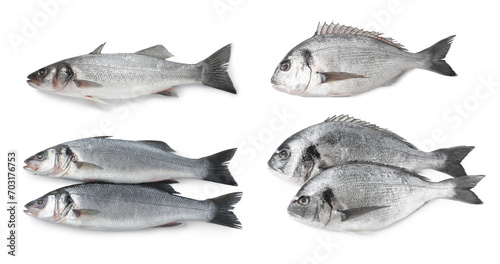 Different types of raw fish isolated on white, set