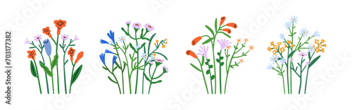 Spring field flower bunches set. Summer wildflowers, floral plants, gentle meadow bouquets. Delicate fragile blooms, stems. Abstract botanical flat vector illustrations isolated on white background