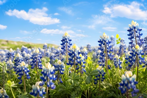 AI-generated illustration of a picturesque field of vibrant bluebonnets photo