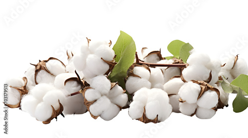 Raw Cotton PNG, Transparent background raw cotton, Natural fiber graphic, Cotton icon, Cotton boll image, Agricultural illustration, Textile material file, Cotton farming icon