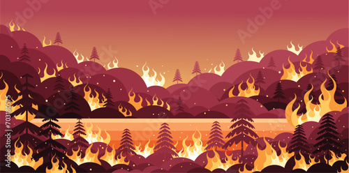 Forest Fires Illustration