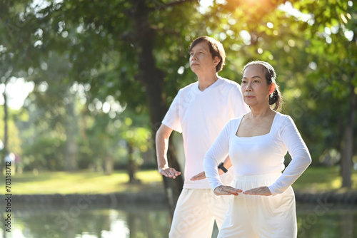 Peaceful Asian senior couple practicing Tai Chi in the morning with sunrise. Health care and wellbeing concept. photo