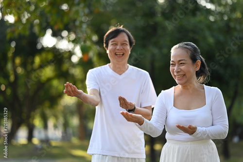 Happy Asian senior couple doing Qigong exercises in the park. Mental health and retired lifestyle concept.