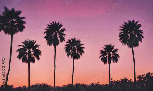 Silhouetted palm shapes in vibrant hues