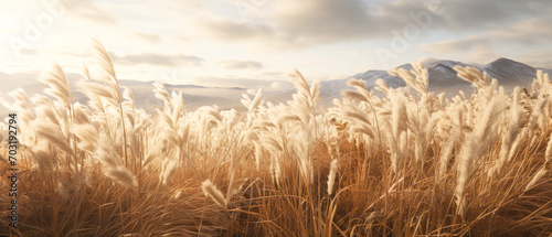 Landscape with dry reeds, beige cane, pampas grass. Macro Shoot. Nature, herbal background. Boho design. Generative ai