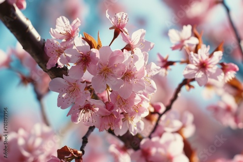 A close-up view of a pink flower blooming on a tree. This image can be used to add a touch of nature and beauty to any project