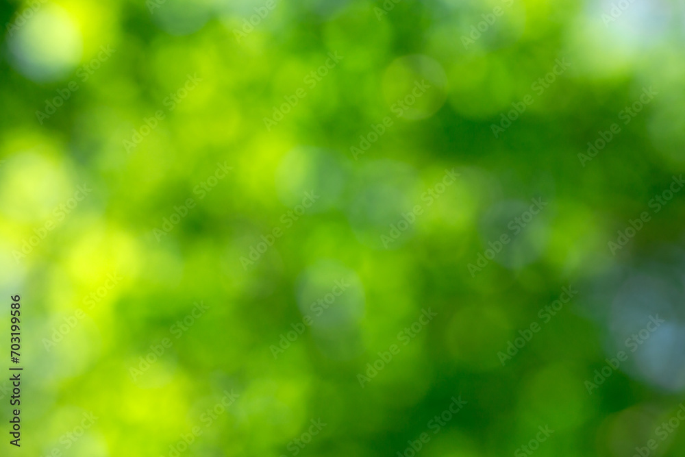 Green bokeh background. Natural green a blurred background Green bokeh background. Natural green a blurred background