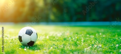 soccer ball on the grass  horizontal banner  sport and entertainment concept  copy space for text