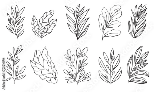 Hand drawn floral line art