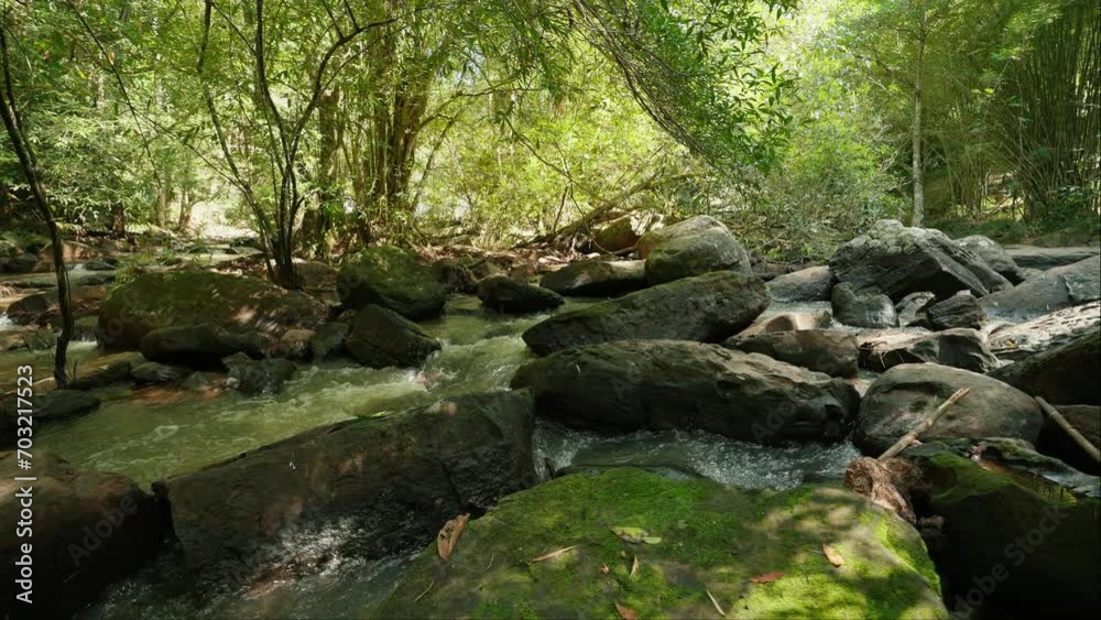 Nature concept. Creek water flowing through rocks. Freshness landscape for water fall and stream flowing in jungle. Stream flowing through rocks. Water flowing through the rocks in the rainforest Nature concept. Creek water flowing through rocks. Freshness landscape for water fall and stream flowing in jungle. Stream flowing through rocks. Water flowing through the rocks in the rainforest