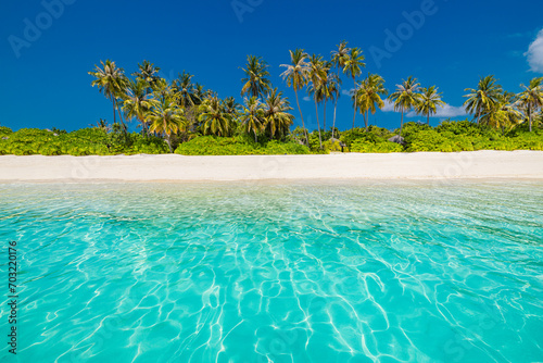 Beautiful beach background. Tropical nature exotic sandy shore coast. Tranquil paradise landscape  fantastic island. Closeup sea waves  sunny sky  coco palm trees amazing scenery. Peaceful beachfront