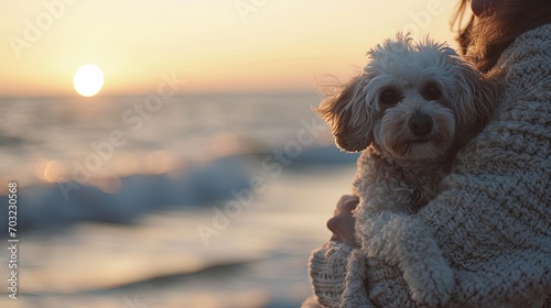 Person holding a dog at the beach At sunset, against the backdrop of the shoreline. The bond between the individual and their canine companion is beautifully portrayed in this seaside