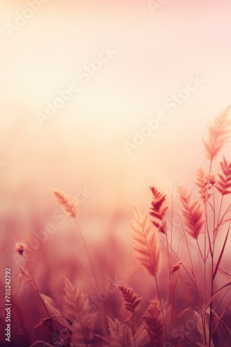 Goldenrod burgundy sky pastel gradient background 