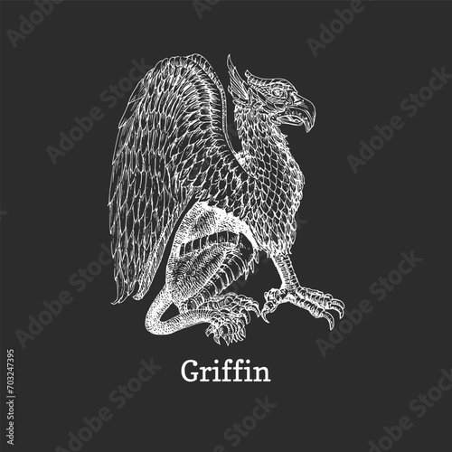 Griffin, vector drawing, drawn sketch of Gryphon