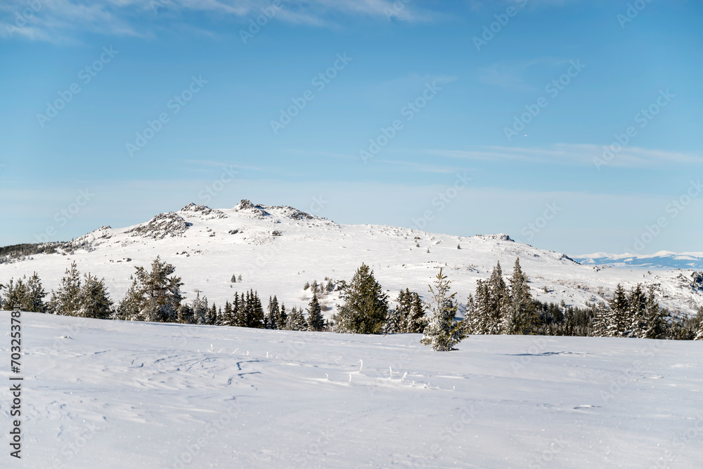 Beautiful  Winter Mountain Landscape with Frozen Trees  .Vitosha Mountain, Bulgaria 