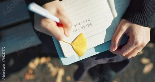 Person, hands and writing in book on park bench for reminder, agenda or memory in nature above. Top view and closeup of writer or journalist taking notes in diary or notebook with pen for planning photo