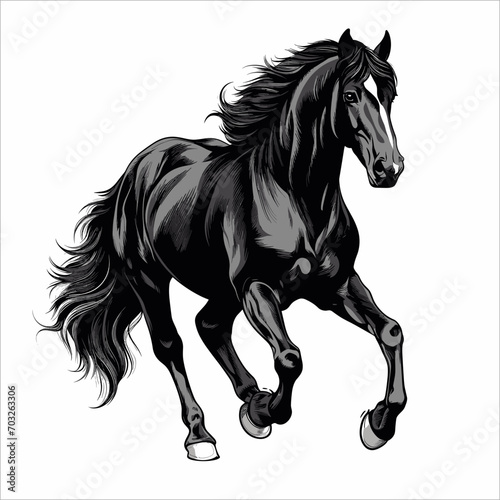 vector Beautiful black horse running on white background