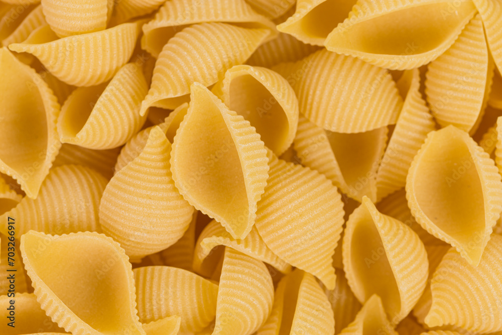 conchiglie pasta shell conchiglie pasta shell