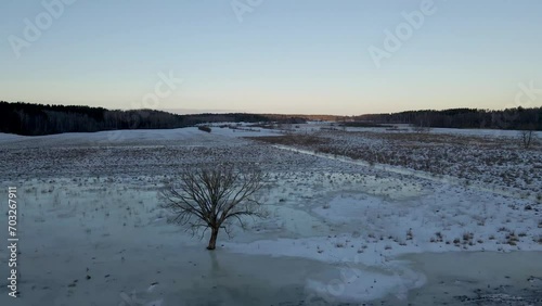 A lonely tree at sunset, in the middle of a frozen field, as seen from a drone.