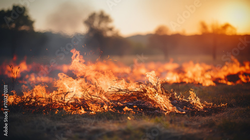 Dry grass burns on meadow in countryside at sunset. Wild fire burning dry grass in field. Orange flames and billowing smoke. Open fire. photo