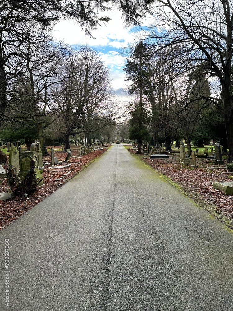 Path in a cemetery,