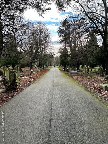 Path in a cemetery,