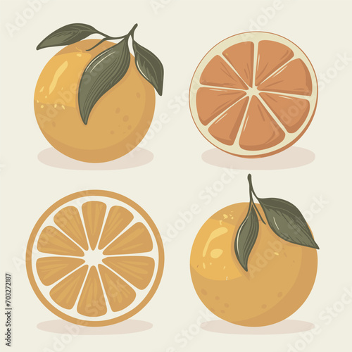 set of orange and slices