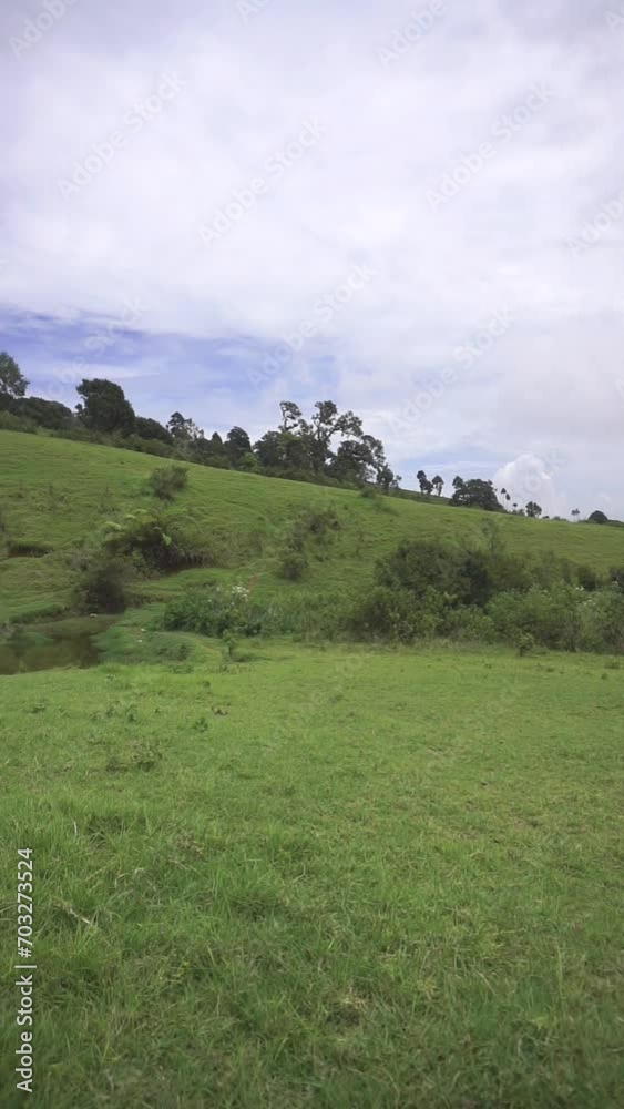 beautiful vertical video portrait natural scenery mountains natural panorama hills, and forest of tall green trees and slopes of green plantations under cloudy blue sky in daytime beautiful vertical video portrait natural scenery mountains natural panorama hills, and forest of tall green trees and slopes of green plantations under cloudy blue sky in daytime