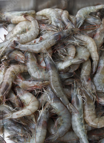 Close up view of shrimps for sale