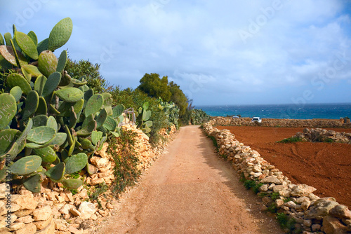 Landsacape with road to sea in Malta photo