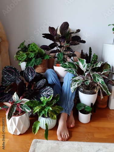 La vida con plantas 